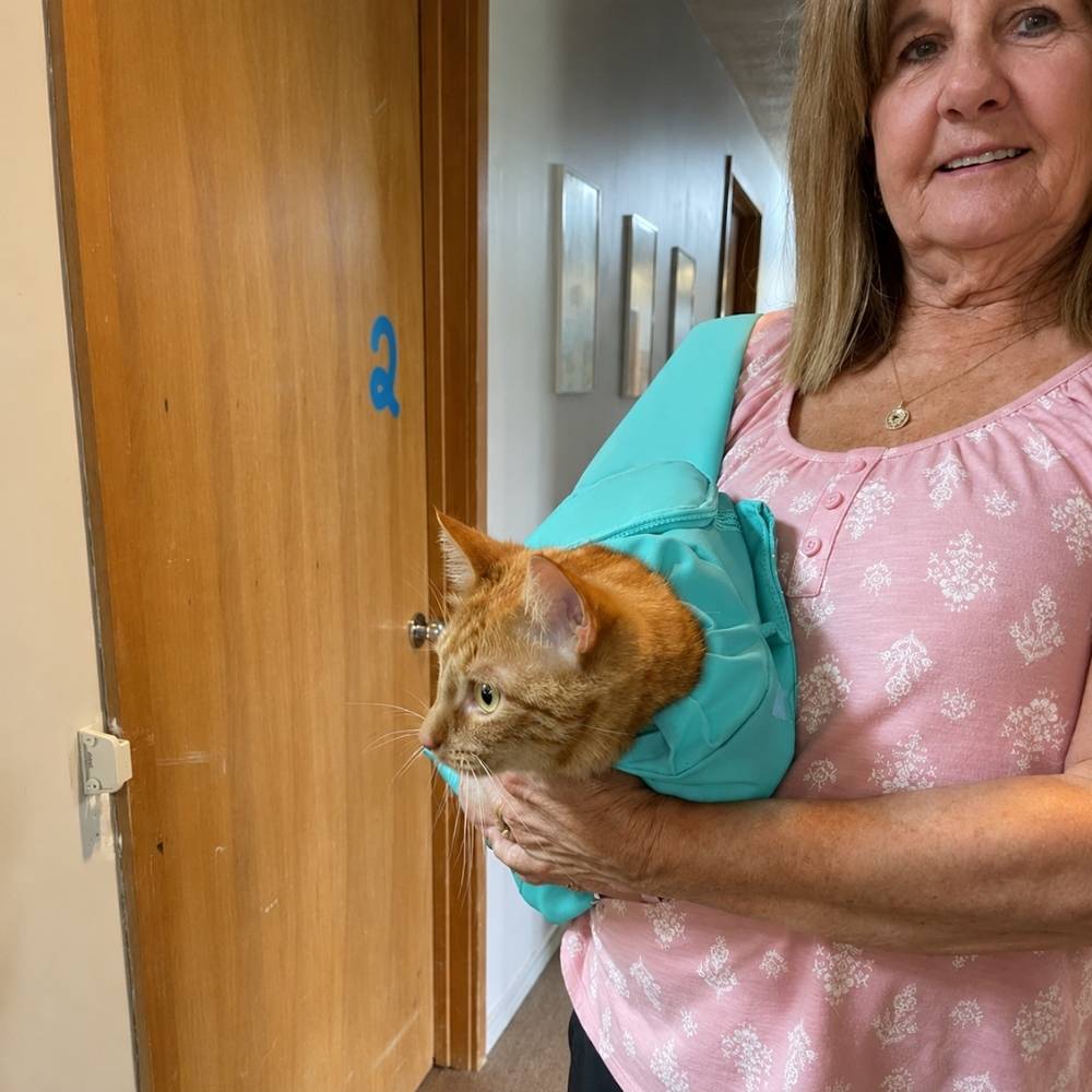 files/19-VELUNA-CARRIER-CAT.jpg