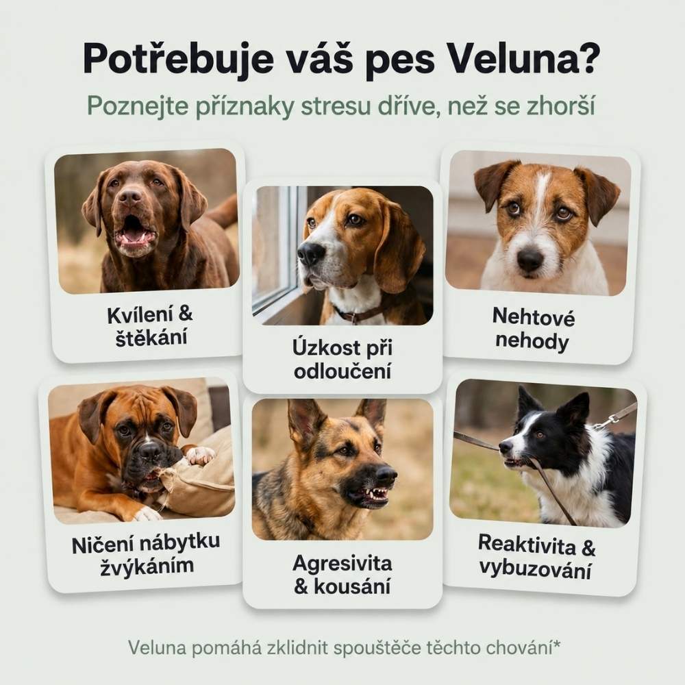 Veluna Feromonový Difuzér pro Psy