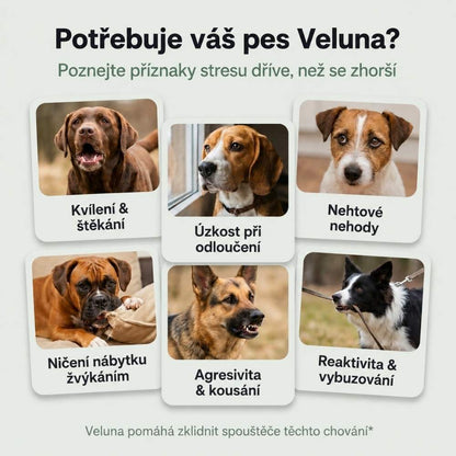 Veluna Feromonový Difuzér pro Psy