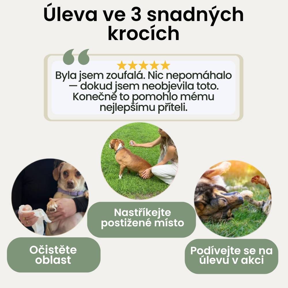 Sprej proti svědění pro psy