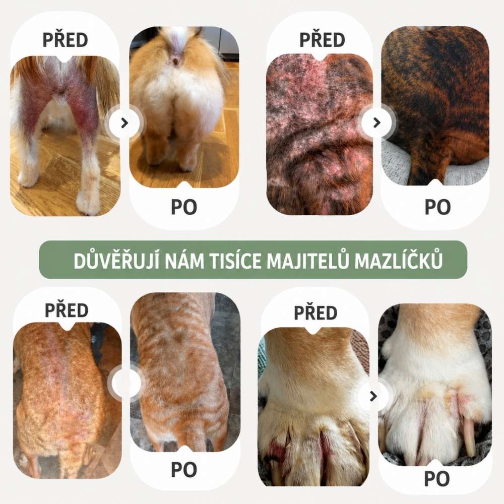 Sprej proti svědění pro psy