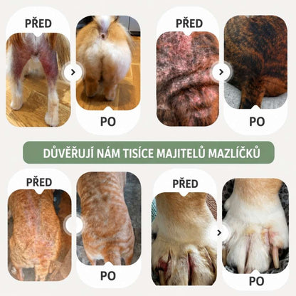 Sprej proti svědění pro psy