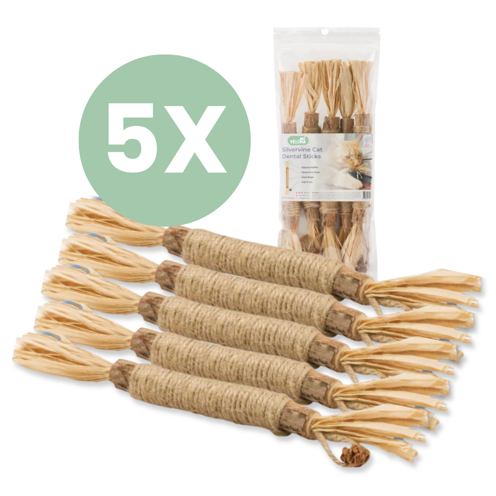 Silvervine dental sticks upsell SK