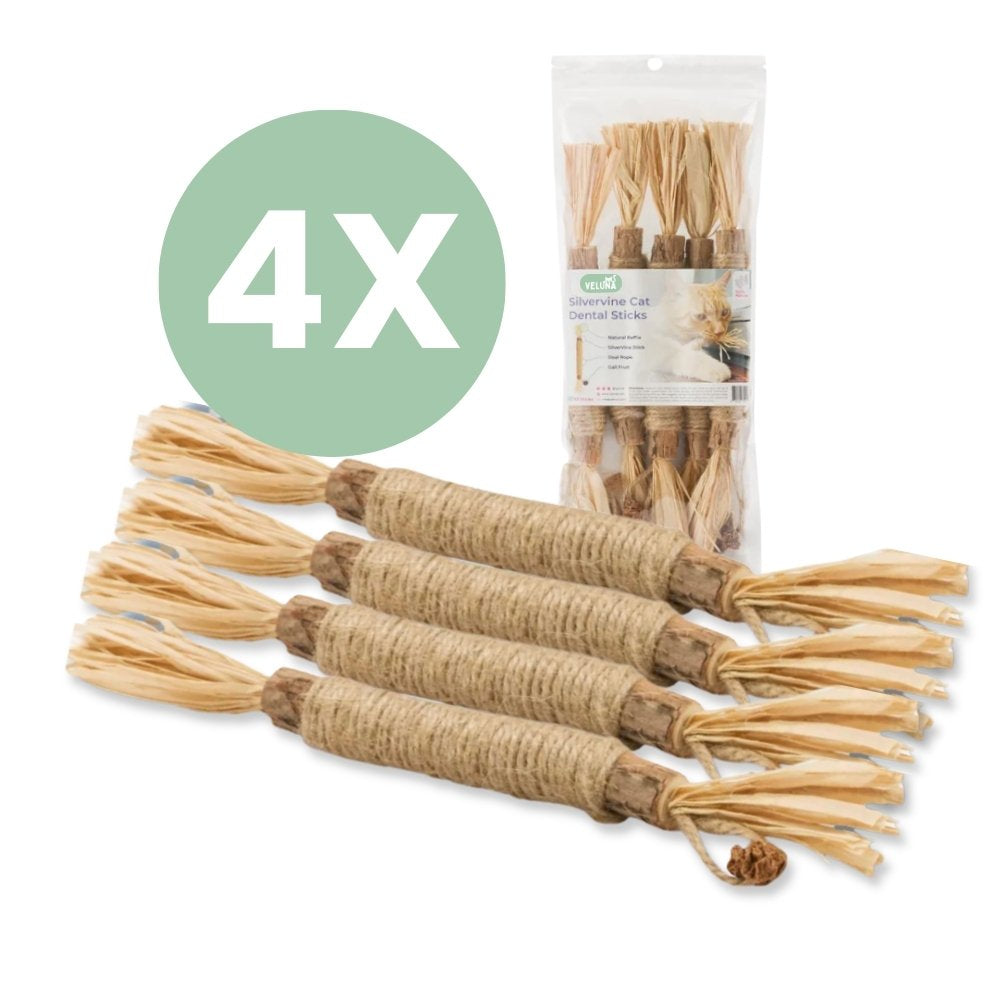 Silvervine dental sticks upsell SK