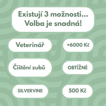 DentaSticks - Zubní tyčinky Silvervine pro kočky