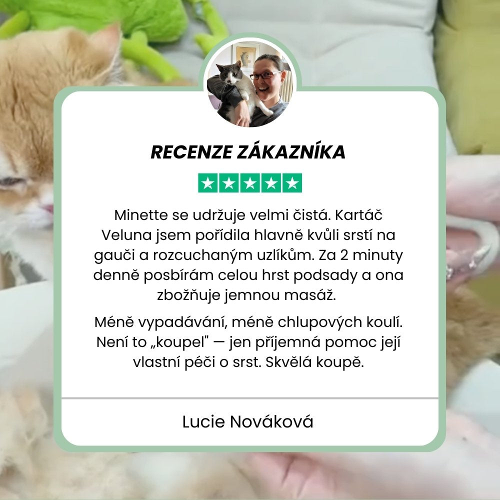 Veluna Steam Brush pro Kočky