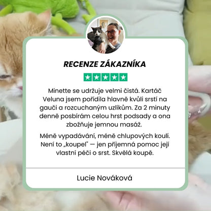 Veluna Steam Brush pro Kočky