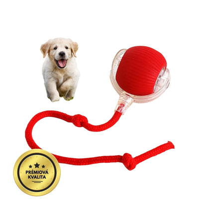 Chytrý a interaktivní míček pro vašeho psa – nabíjí se přes USB