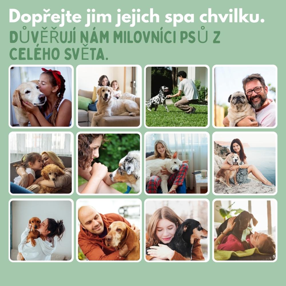 Veluna Steam Brush pro Psy