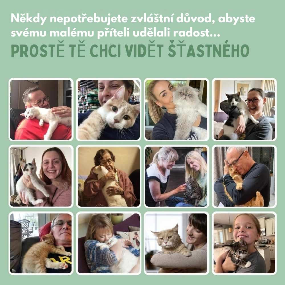 Veluna Interaktivní Škrabací Hračka pro Kočky