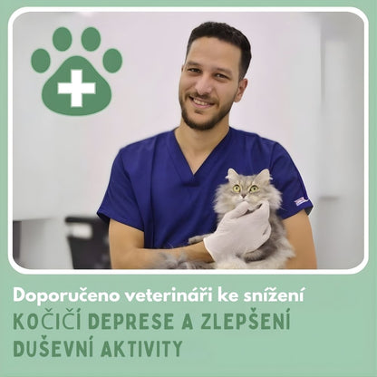 Veluna Interaktivní Škrabací Hračka pro Kočky