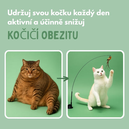 Interaktivní hračka pro kočky s peřím, závěsná a pružná