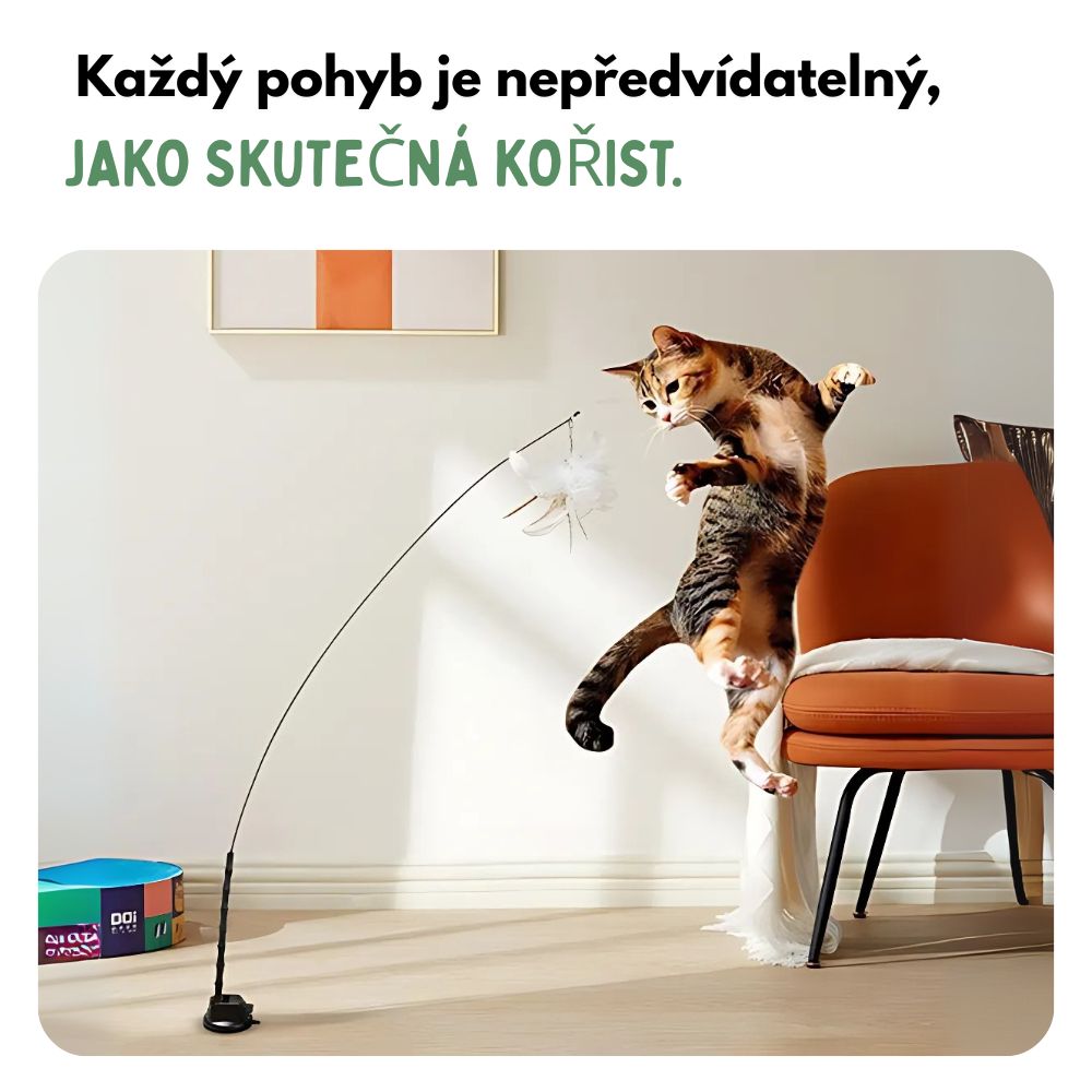 Interaktivní hračka pro kočky s peřím, závěsná a pružná