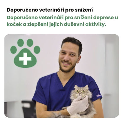 Interaktivní hračka pro kočky s peřím, závěsná a pružná