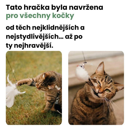 Interaktivní hračka pro kočky s peřím, závěsná a pružná