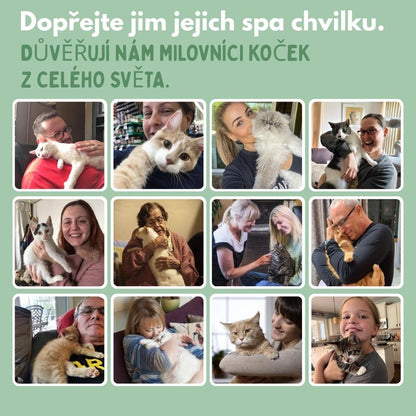 Veluna Steam Brush pro Kočky