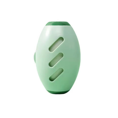 Lint reusable roller