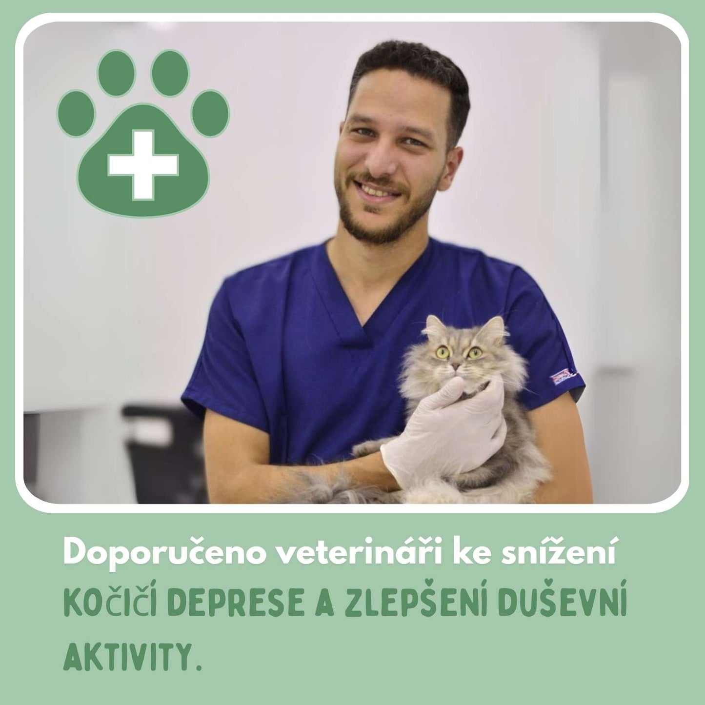 Chytrý míček pro kočky, 100% autonomní, navržený tak, aby napodoboval skutečnou kořist.