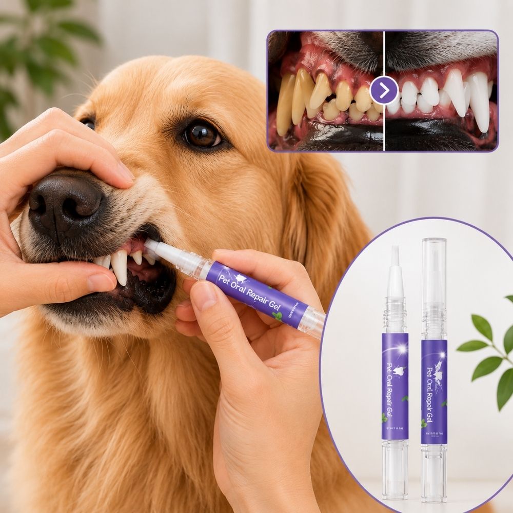 Dentální gel pero