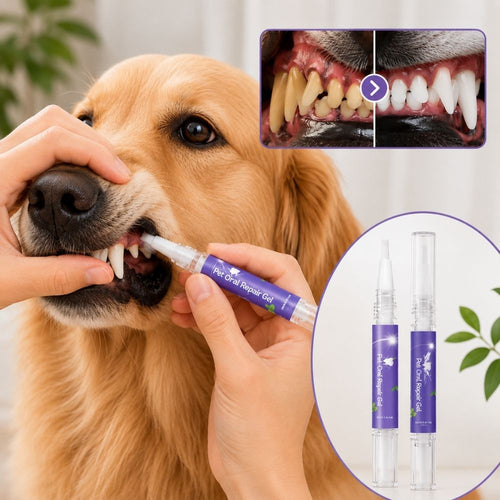 Dentální gel pero
