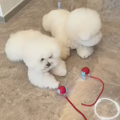 Chytrý a interaktivní míček pro vašeho psa – nabíjí se přes USB