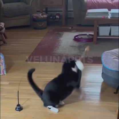 Interaktivní hračka pro kočky s peřím, závěsná a pružná