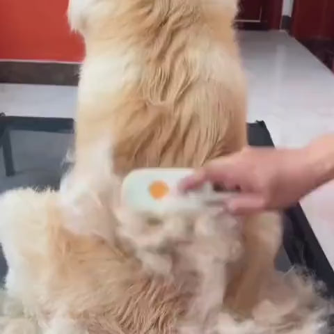 Veluna Steam Brush pro Psy